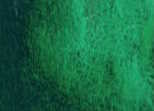 [13.1210] Daniel Smith Watercolour Paints (210 Diopside Genuine, 15 ml)