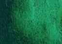 [13.1210] Daniel Smith Watercolour Paints (210 Diopside Genuine, 15 ml)