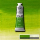 Olejová barva Winton 37 ml – 145 chrome green hue