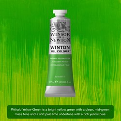 [73.1131] Winton Oil Colour (403 phthalo yellow green, 37 ml)