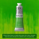 Olejová barva Winton 37 ml – 403 phthalo yellow green
