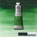 [73.1149] Winton Oil Colour (637 terre verte, 37 ml)