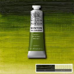 [73.1147] Winton Oil Colour (599 sap green, 37 ml)
