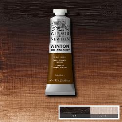 Olejová barva Winton 37 ml – 076 burnt umber
