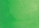 [13.1208] Daniel Smith Watercolour Paints (208 Spring Green, 15 ml)