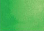 208 Spring Green