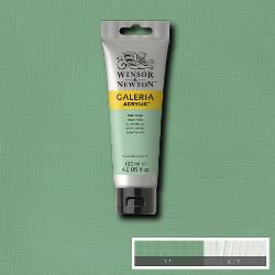 [73.2227] Acrylic paint Galeria (435 pale olive, 120 ml)