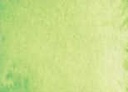 [13.1124] Daniel Smith Watercolour Paints (124 Phthalo Yellow Green, 15 ml)