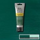 Acrylic paint Galeria 120 ml – 482 permanent green deep