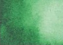 Daniel Smith Watercolour Paints 15 ml – 042 Hooker's Green