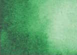 042 Hooker's Green