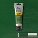 [73.2515] Acrylic paint Galeria (599 sap green, 1000 ml)
