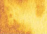 061 Nickel Azo Yellow