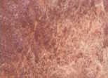 [13.1204] Daniel Smith Watercolour Paints (204 Burnt Bronzite Genuine, 15 ml)
