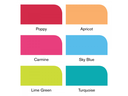 [73.5591] Set of Promarker brush markers 6 pcs mid tones Winsor Newton