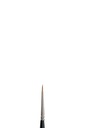 Winsor & Newton 7 series Kolinsky brush 2/0