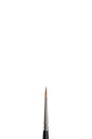 Winsor & Newton 7 series Kolinsky brush 1