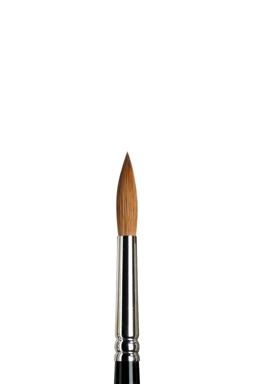 [73.6175] Winsor & Newton 7 series Kolinsky brush (8)
