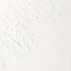 [73.0134] W&N Artists oil paint 37ml (369 Titanium White, 37 ml)