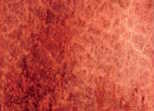 151 Burgundy Red Ochre