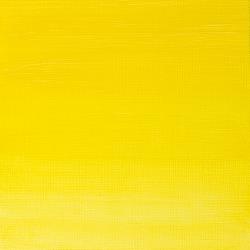 722 Winsor Lemon