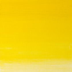 730 Winsor Yellow