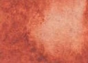 [13.1116] Daniel Smith Watercolour Paints (116 Pompeii Red, 15 ml)