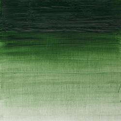 637 Terre Verte