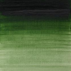 [73.0076] W&N Artists oil paint 37ml (540 Prussian Green, 37 ml)