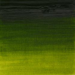 [73.0088] W&N Artists oil paint 37ml (599 Sap Green, 37 ml)