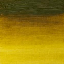 [73.0036] W&N Artists oil paint 37ml (294 Green Gold, 37 ml)