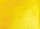 165 Lemon Yellow