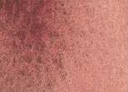 [13.1137] Daniel Smith Watercolour Paints (137 English Red Earth, 15 ml)