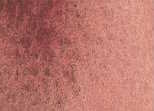 137 English Red Earth