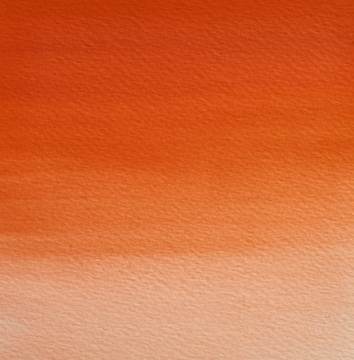 418 Field'S Orange