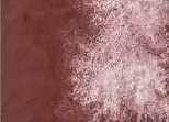 141 Lunar Red Rock