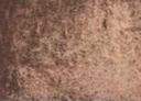 [13.1162] Daniel Smith Watercolour Paints (162 Burnt Tiger's Eye Genuine, 15 ml)