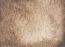 [13.1121] Daniel Smith Watercolour Paints (121 German Greenish Raw Umber, 15 ml)