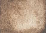 121 German Greenish Raw Umber