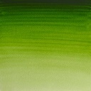 Watercolor paint W&N Professional 14 ml – 503 Permanent Sap Green