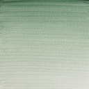 [73.4254] Watercolor paint W&N Professional (637 Terre Verte, 14 ml)