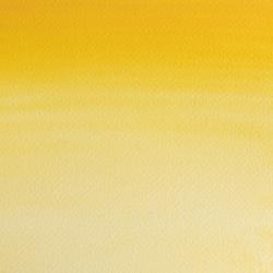 649 Turners Yellow