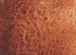 [13.1130] Daniel Smith Watercolour Paints (130 Transparent Red Oxide, 15 ml)