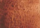 [13.1130] Daniel Smith Watercolour Paints (130 Transparent Red Oxide, 15 ml)