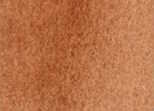 230 Burnt Sienna Light