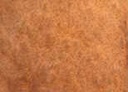 [13.1176] Daniel Smith Watercolour Paints (176 Eco-Friendly Yellow Iron Oxide, 15 ml)