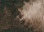 [13.1097] Daniel Smith Watercolour Paints (097 Raw Umber, 15 ml)