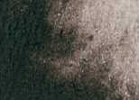 [13.1110] Daniel Smith Watercolour Paints (110 van Dyck Brown, 15 ml)