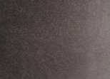 229 Neutral Tint