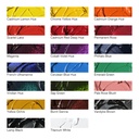 [73.1195] Set of oil paints Winton 20x12ml